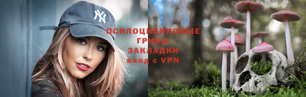 трава Абаза
