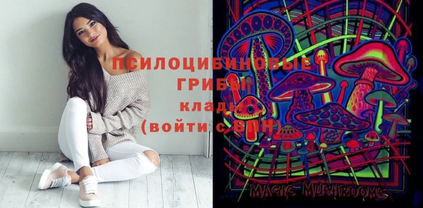 тгк Абинск
